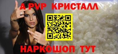 хмурый Кингисепп