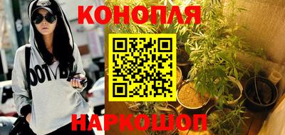 хмурый Кингисепп