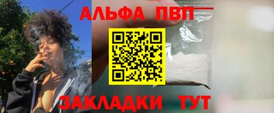 хмурый Кингисепп