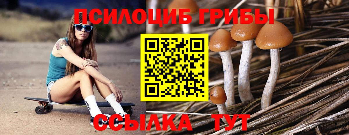 Псилоцибиновые грибы прущие грибы Кинешма