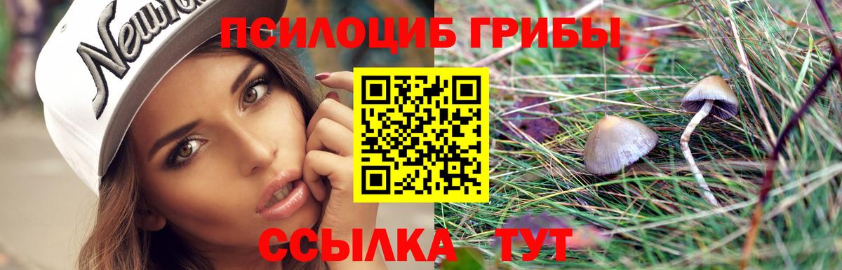 Кинешма  Галлюциногенные грибы ЛСД  Вход с VPN 