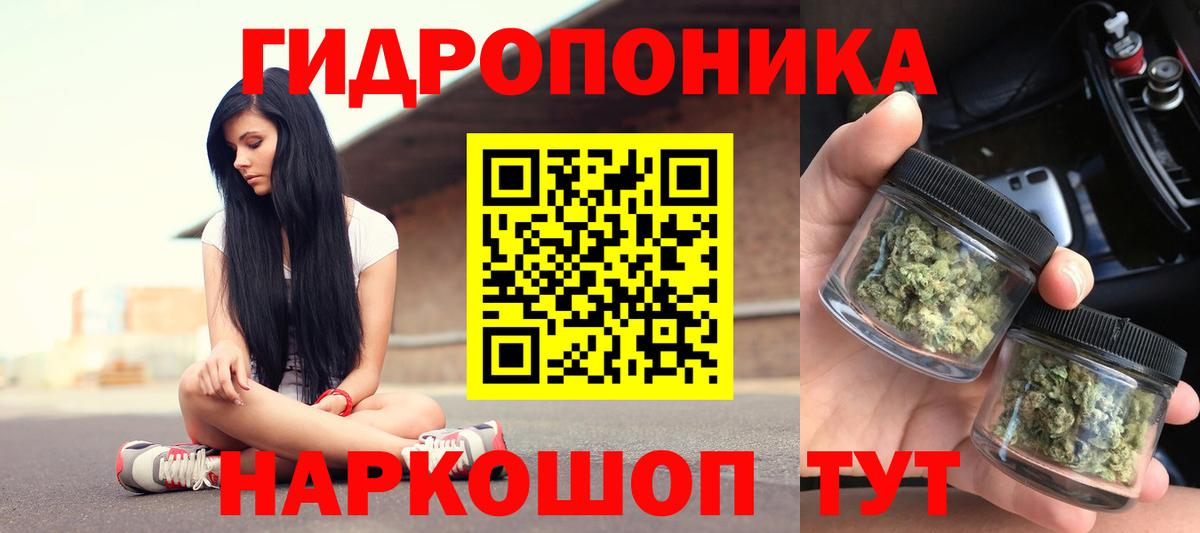 Бошки Шишки OG Kush  Вход с VPN  Каннабис индика  Кинешма 